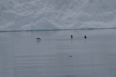 IMG_8545.JPG