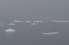 IMG_8511.JPG