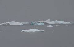 IMG_8513.JPG