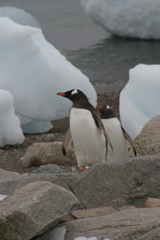 IMG_8519.JPG