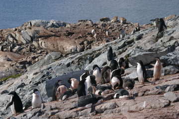 IMG_8837.JPG