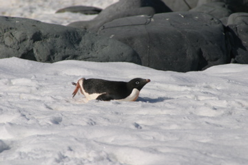 IMG_8858.JPG