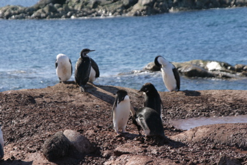IMG_8862.JPG
