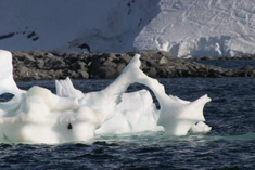 IMG_8695.JPG