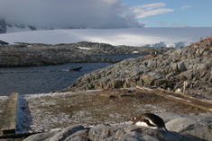 IMG_8666.JPG