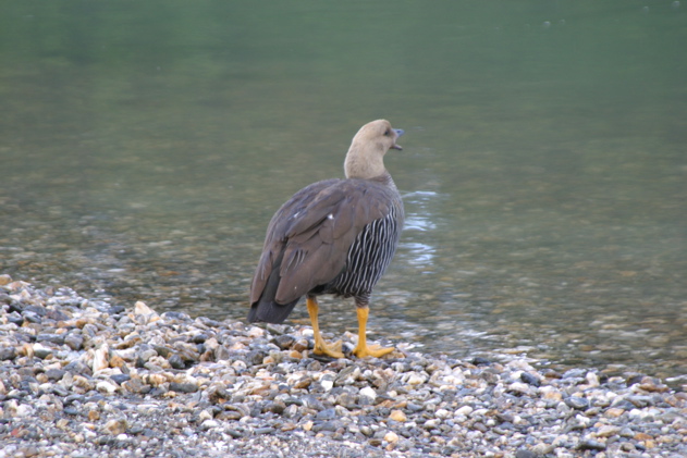IMG_7844.JPG