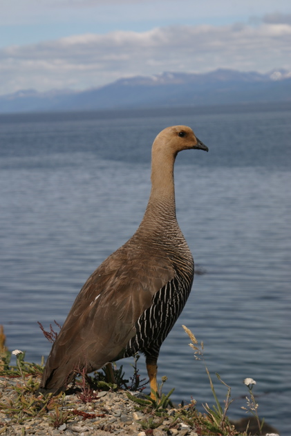 IMG_7789.JPG