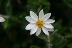 IMG_7840.JPG
