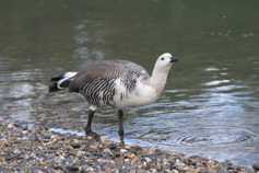 IMG_7843.JPG