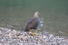 IMG_7844.JPG