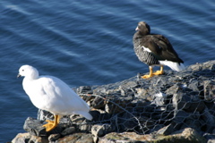 IMG_9353.JPG