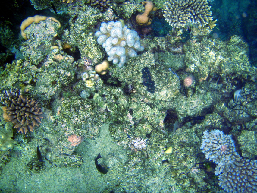 P1250578