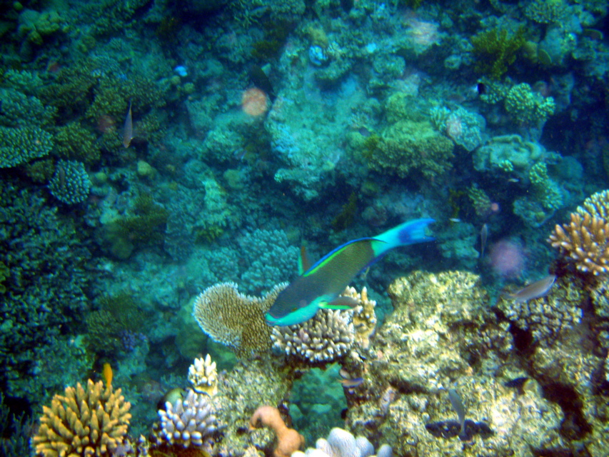 P1250584
