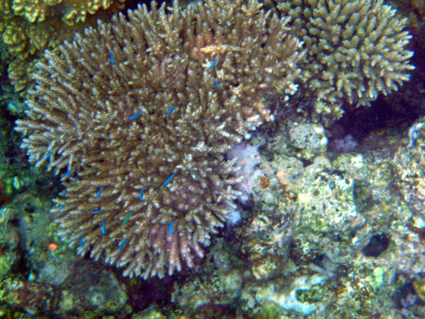 P1250589