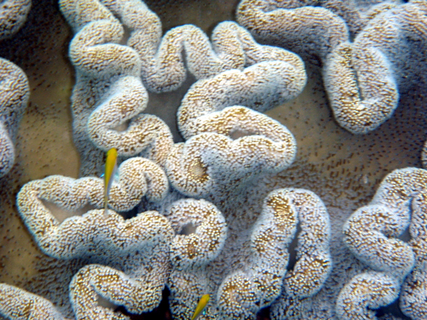 P1250625