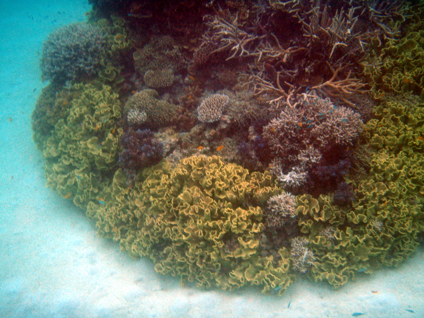 P1250626