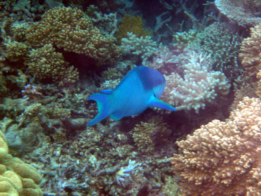 P1250631