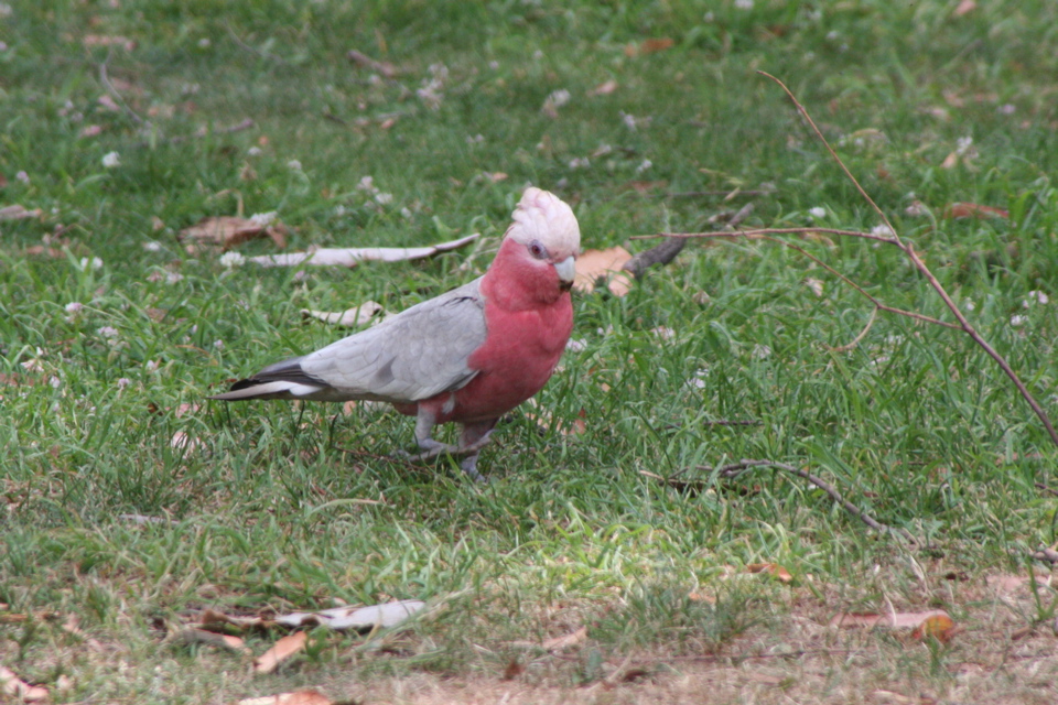 IMG_1682.JPG