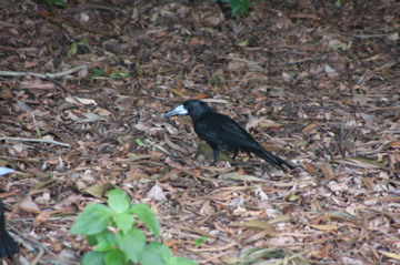 IMG_2304.JPG