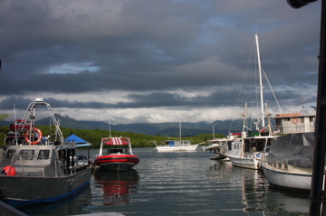 IMG_2305.JPG