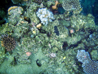 P1250578