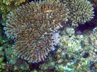 P1250589