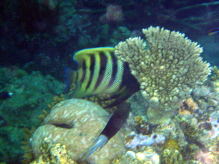 P1250601
