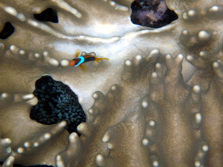 P1250619
