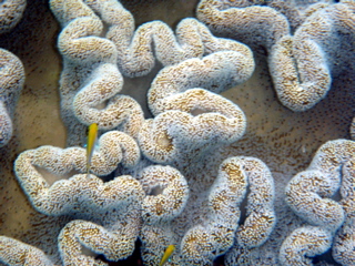 P1250625