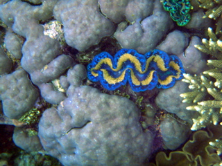 P1250671