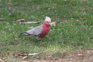 IMG_1682.JPG