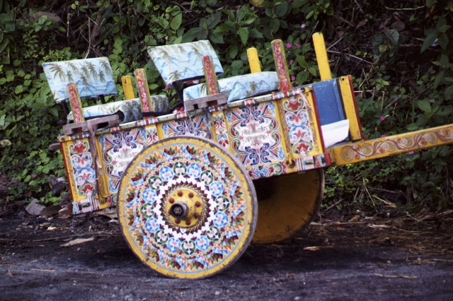 Ox Cart, Near Arenal