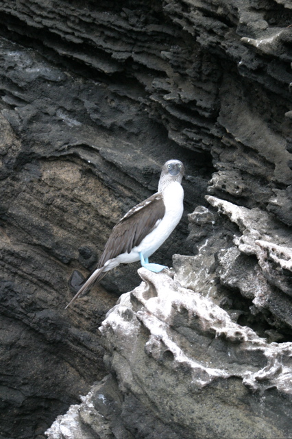 IMG_5865.JPG