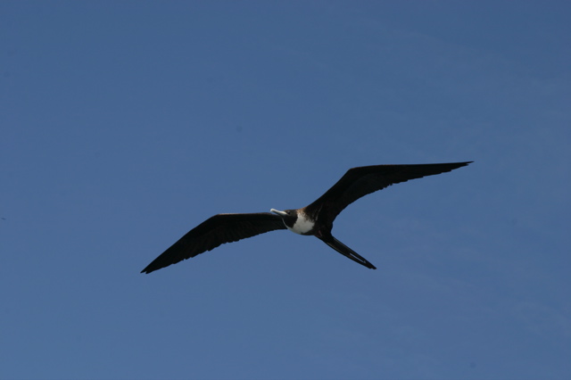 IMG_5912.JPG