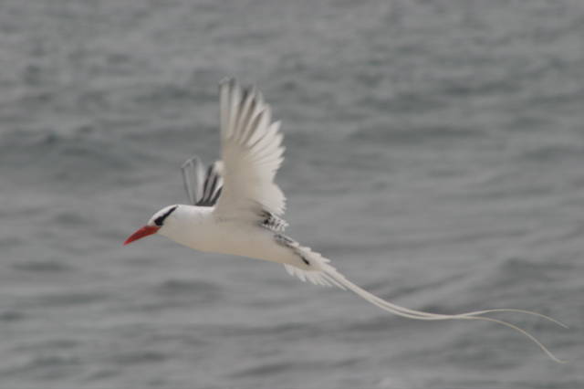 IMG_6201.JPG