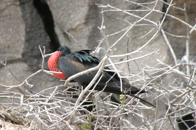 IMG_5409.JPG
