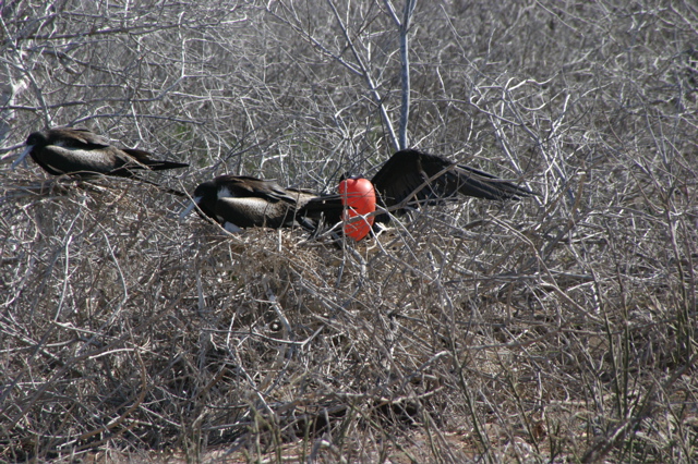 IMG_5633.JPG