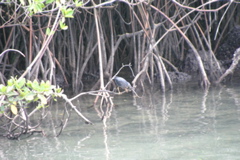 IMG_5944.JPG