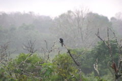 IMG_5962.JPG