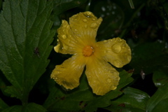IMG_5984.JPG