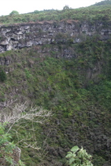 IMG_6033.JPG