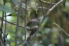 IMG_6040.JPG
