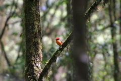 IMG_6050.JPG