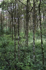IMG_6053.JPG
