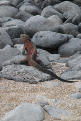 IMG_6162.JPG