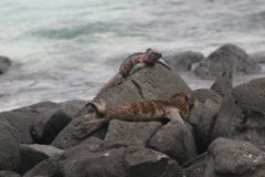 IMG_6169.JPG