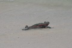 IMG_6176.JPG
