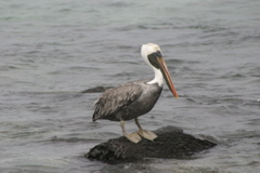 IMG_6180.JPG
