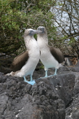 IMG_6181.JPG