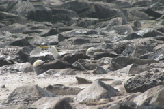IMG_6229.JPG